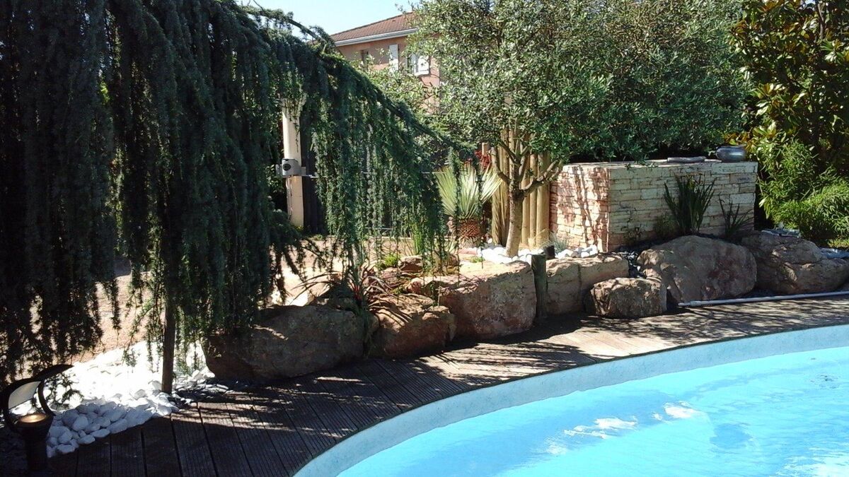 Cèdre pleureur et rochers au bord d'une piscine