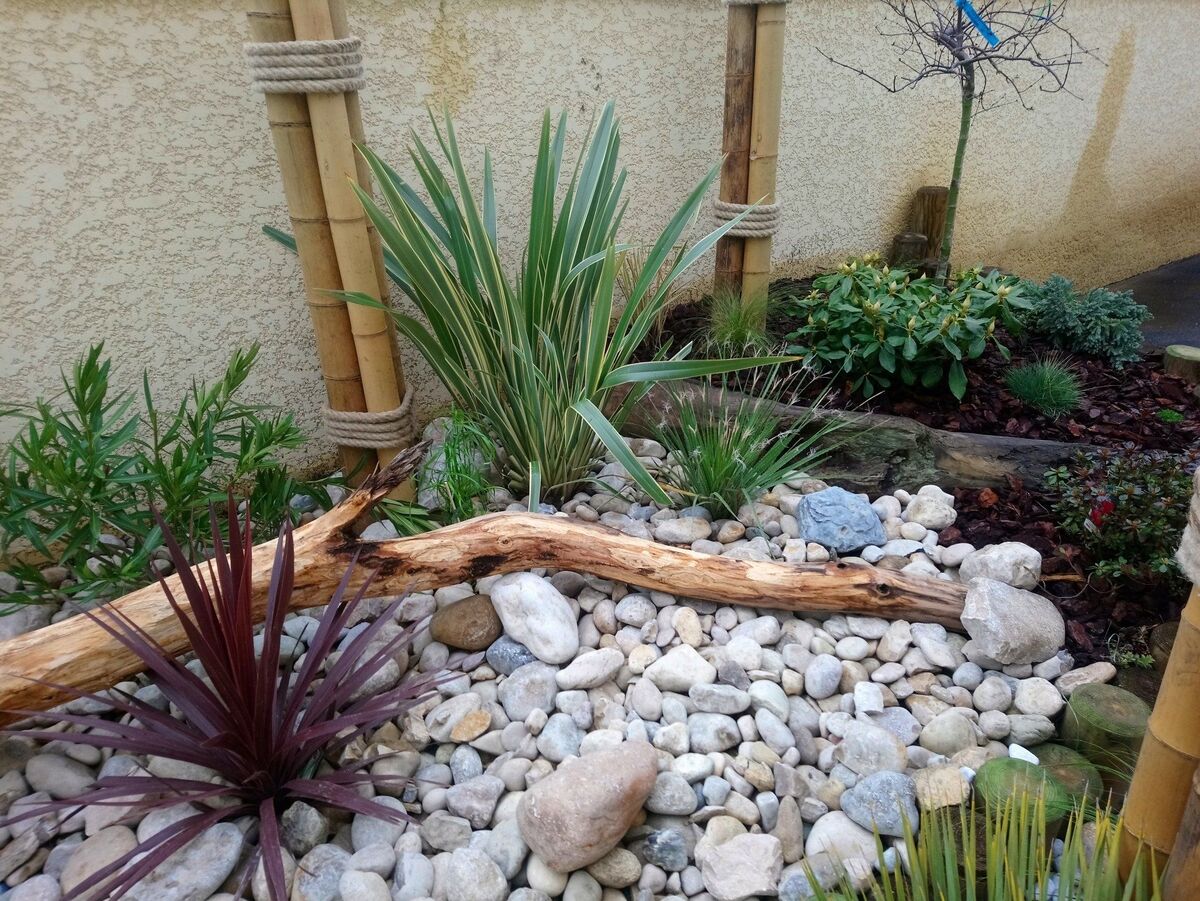 Galets, bois flotté et cordyline rouge dans un massif devant un mur