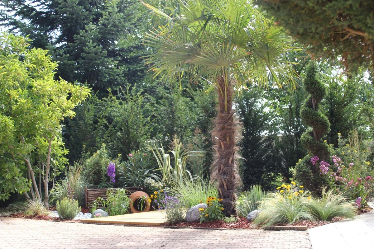 Palmier, plantes fleuries et terrasse en bois dans un jardin exotique