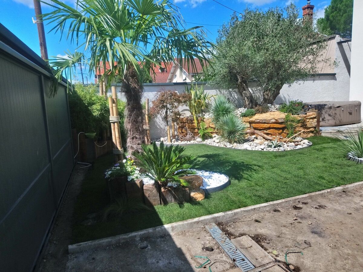 Jardin avec palmier, olivier et rocaille de pierres sur une pelouse