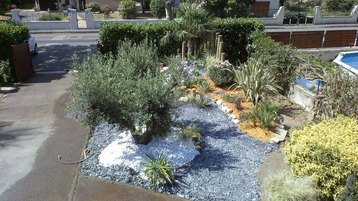 Olivier, plantes de rocaille et galets bleus devant une maison